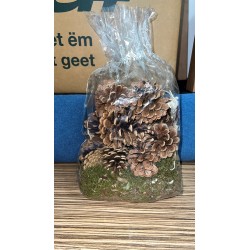 Décoration de pomme de pin